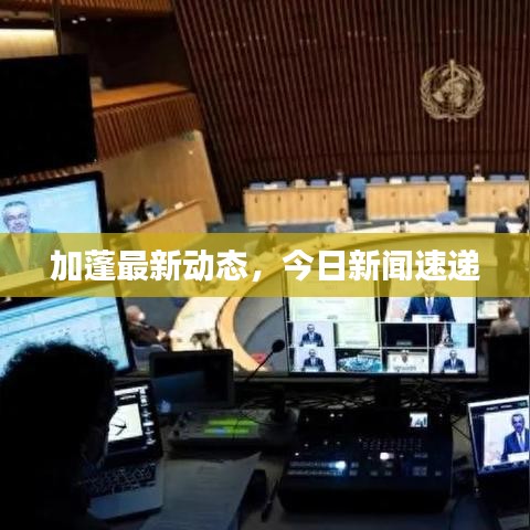 加蓬最新动态，今日新闻速递