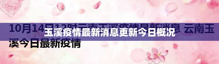 玉溪疫情最新消息更新今日概况