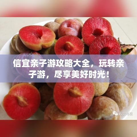 信宜亲子游攻略大全，玩转亲子游，尽享美好时光！