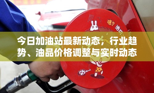 今日加油站最新动态，行业趋势、油品价格调整与实时动态更新