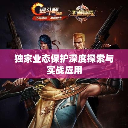 独家业态保护深度探索与实战应用