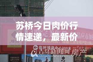 苏桥今日肉价行情速递，最新价格动态一网打尽！