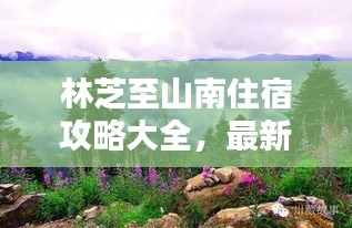 林芝至山南住宿攻略大全，最新推荐，一网打尽！