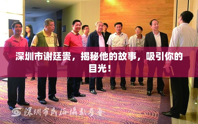 深圳市谢廷贵，揭秘他的故事，吸引你的目光！