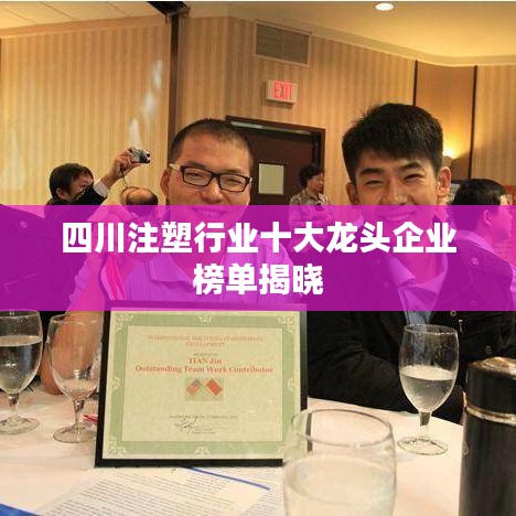 四川注塑行业十大龙头企业榜单揭晓