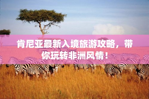 肯尼亚最新入境旅游攻略，带你玩转非洲风情！