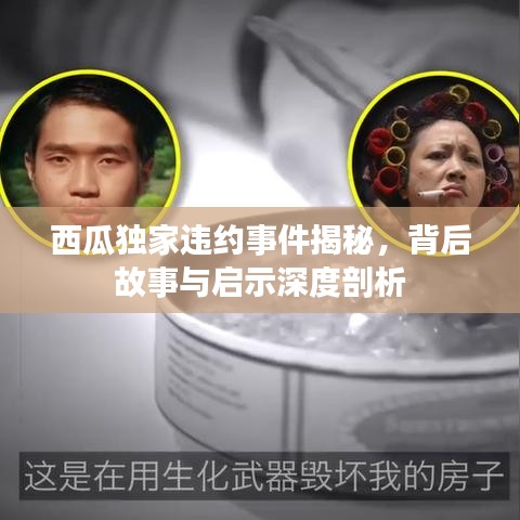 西瓜独家违约事件揭秘，背后故事与启示深度剖析