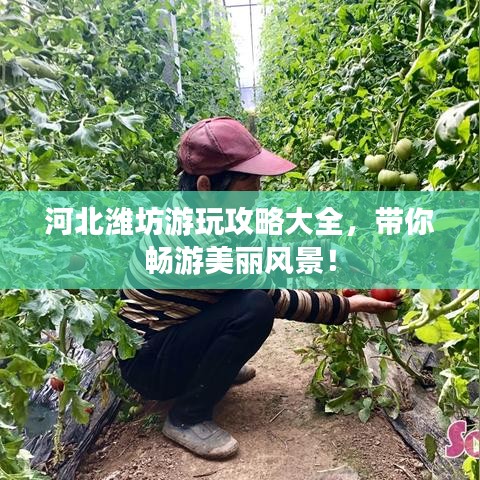 河北潍坊游玩攻略大全，带你畅游美丽风景！