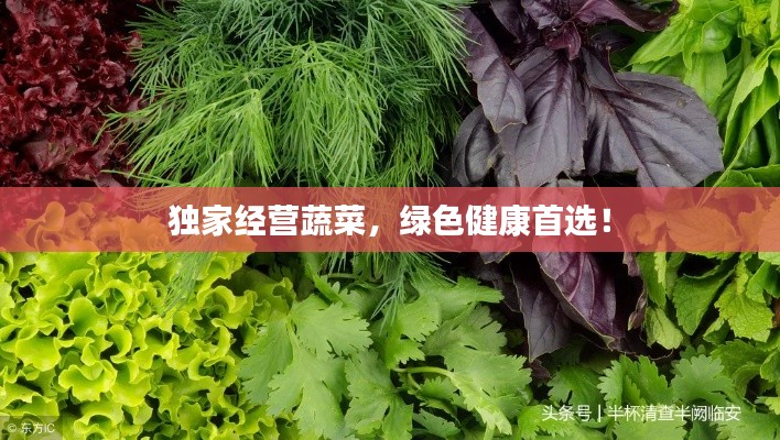 独家经营蔬菜，绿色健康首选！