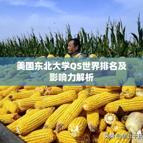 美国东北大学QS世界排名及影响力解析
