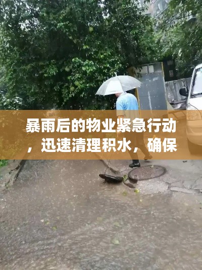 暴雨后的物业紧急行动，迅速清理积水，确保居民生活无忧