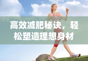 高效减肥秘诀，轻松塑造理想身材的捷径攻略！