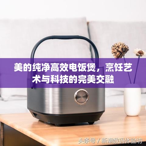 美的纯净高效电饭煲，烹饪艺术与科技的完美交融
