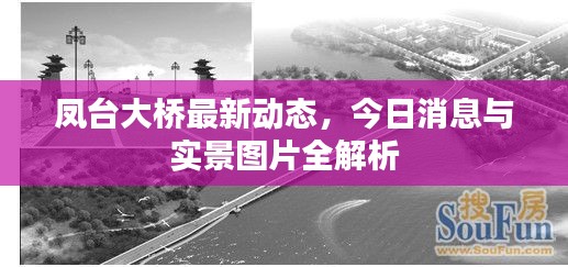 凤台大桥最新动态，今日消息与实景图片全解析