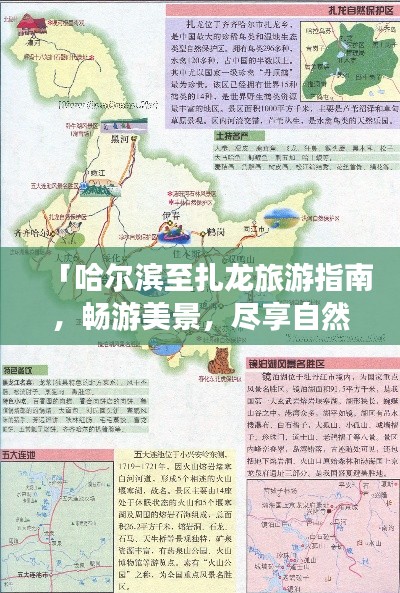 「哈尔滨至扎龙旅游指南，畅游美景，尽享自然风情」