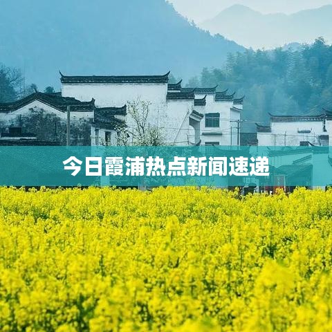 今日霞浦热点新闻速递