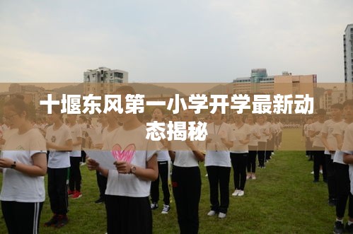 十堰东风第一小学开学最新动态揭秘