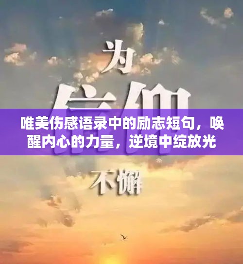 唯美伤感语录中的励志短句，唤醒内心的力量，逆境中绽放光彩
