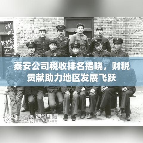 泰安公司税收排名揭晓，财税贡献助力地区发展飞跃