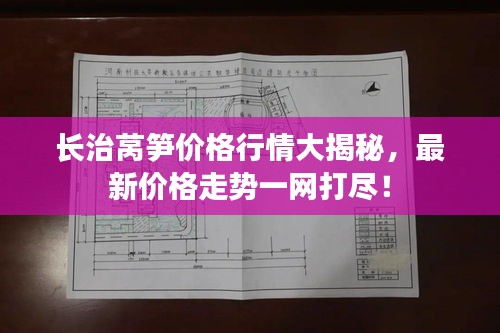 长治莴笋价格行情大揭秘，最新价格走势一网打尽！