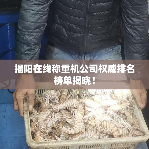 揭阳在线称重机公司权威排名榜单揭晓！