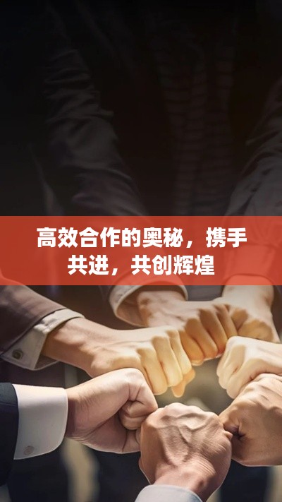高效合作的奥秘，携手共进，共创辉煌