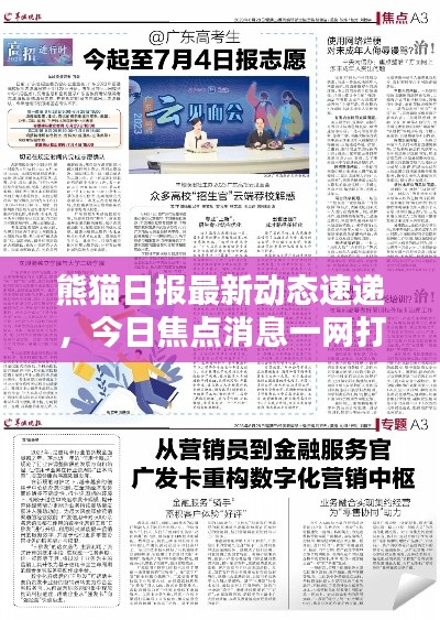 熊猫日报最新动态速递，今日焦点消息一网打尽