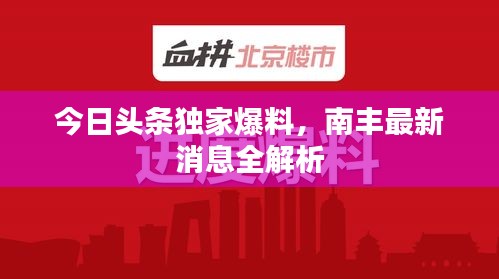今日头条独家爆料，南丰最新消息全解析