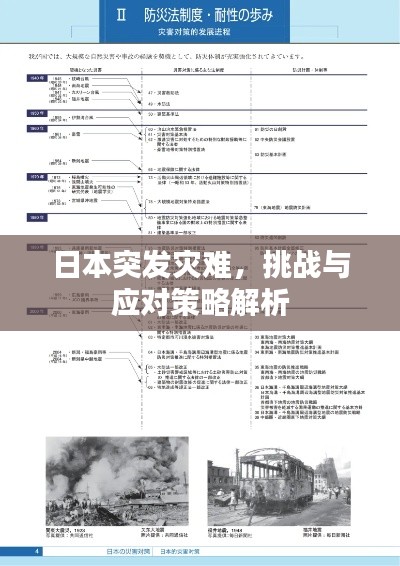 日本突发灾难，挑战与应对策略解析