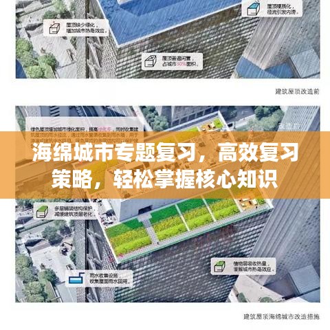 海绵城市专题复习，高效复习策略，轻松掌握核心知识