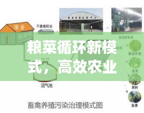 粮菜循环新模式，高效农业可持续发展之道