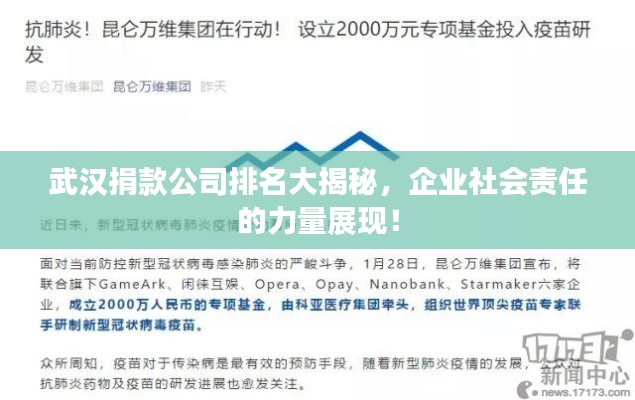 武汉捐款公司排名大揭秘，企业社会责任的力量展现！