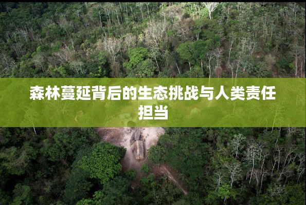 森林蔓延背后的生态挑战与人类责任担当