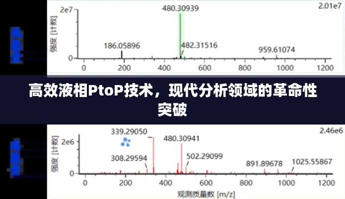 高效液相PtoP技术，现代分析领域的革命性突破