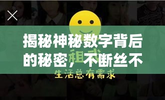 揭秘神秘数字背后的秘密，不断丝不断打！