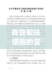 有效帮扶措施的实施策略与实践方法