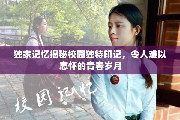独家记忆揭秘校园独特印记，令人难以忘怀的青春岁月