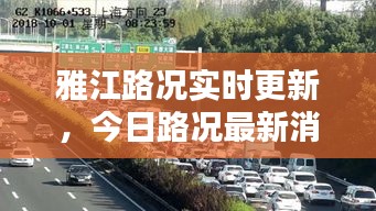 2025年6月5日 第5页