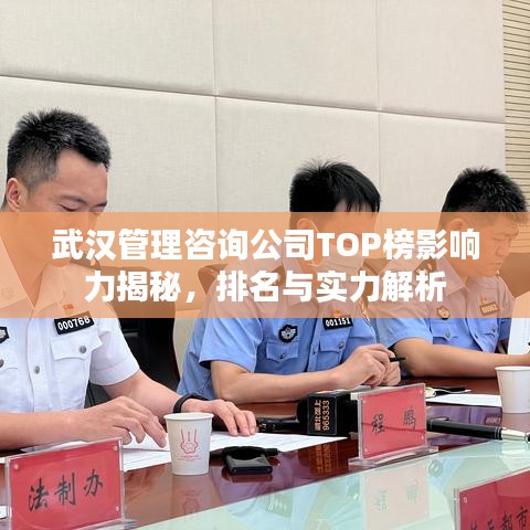 武汉管理咨询公司TOP榜影响力揭秘，排名与实力解析