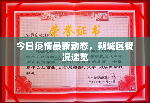 2025年6月5日 第3页
