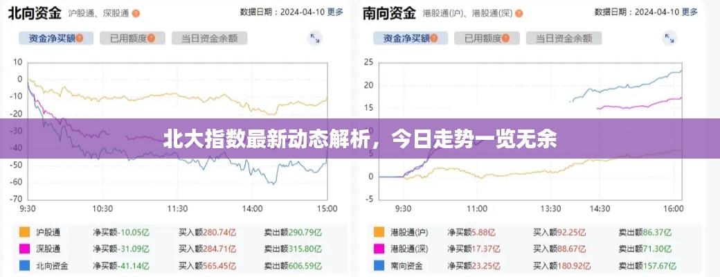 北大指数最新动态解析，今日走势一览无余