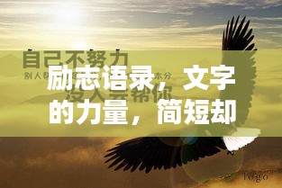 2025年6月5日