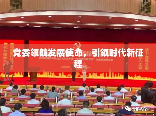 党委领航发展使命，引领时代新征程