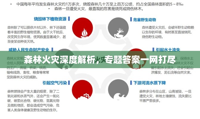 森林火灾深度解析，专题答案一网打尽
