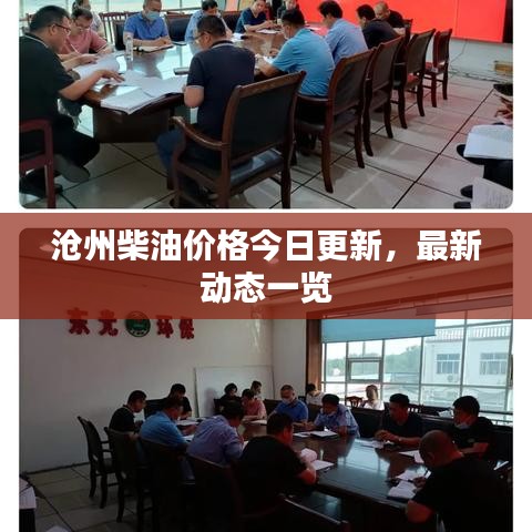 沧州柴油价格今日更新，最新动态一览