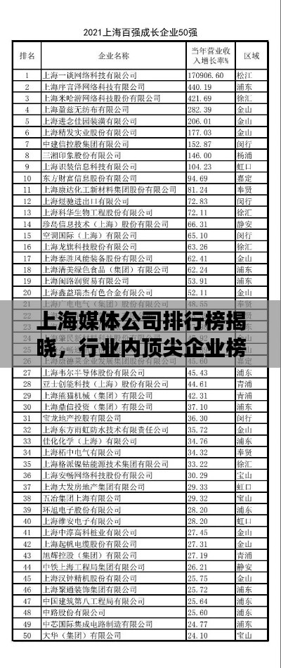 上海媒体公司排行榜揭晓，行业内顶尖企业榜单