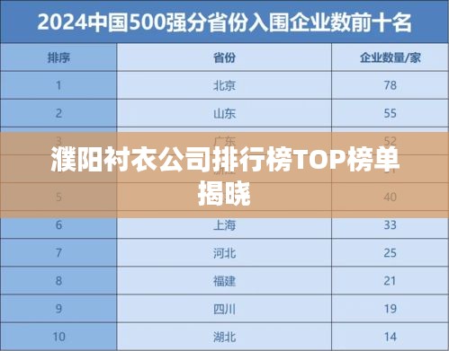 濮阳衬衣公司排行榜TOP榜单揭晓