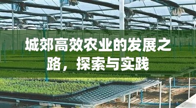 城郊高效农业的发展之路，探索与实践