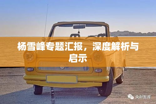 杨雪峰专题汇报，深度解析与启示