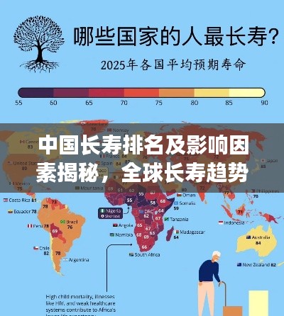 中国长寿排名及影响因素揭秘，全球长寿趋势下的中国位置分析